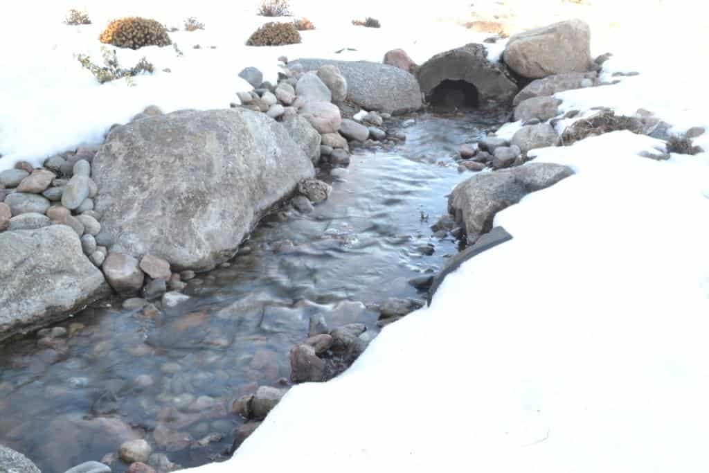 Winter Stream