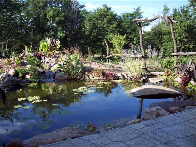 Pond and stepping stones