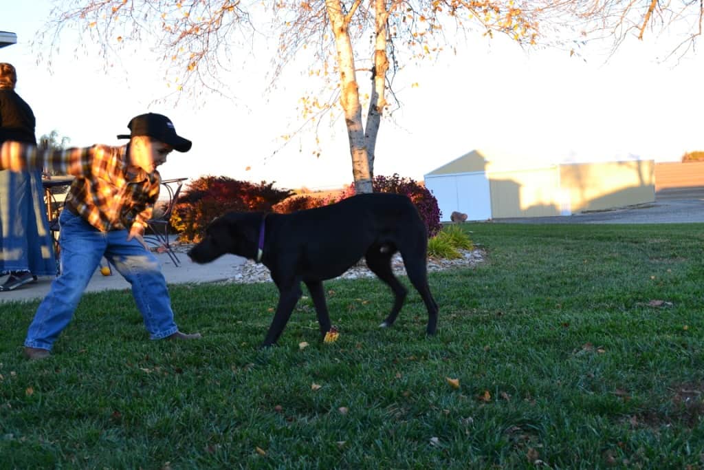 A design should be functional.