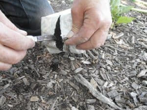 4. Cut side of bag from bottom to top.