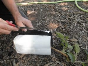 5. Ready to remove the bag.