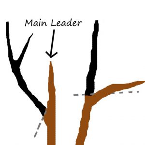 Central lead closeup