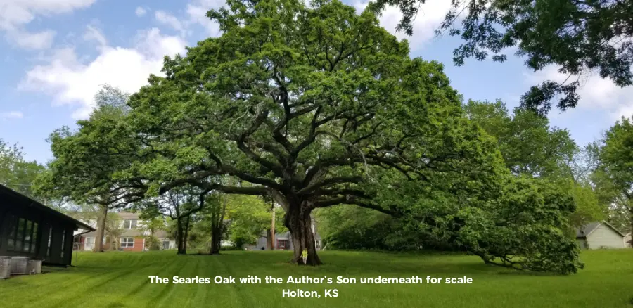 Searles Oak