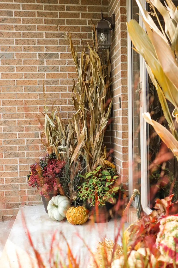 17-IMG_5660.webp