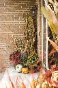 17-IMG_5660.webp