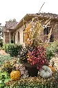 26-IMG_5623.webp