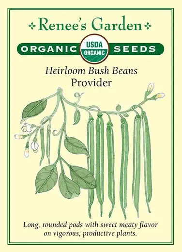 Bean Bush Provider Organic