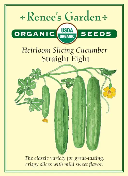 Cucumber Straight Eight Organic