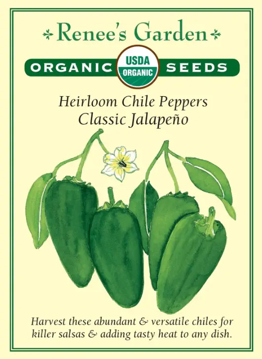 Pepper Chile Jalapeno Organic