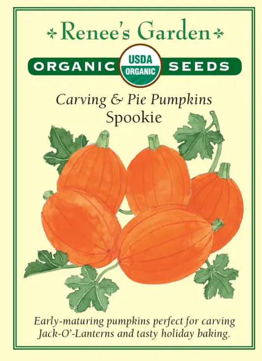 Pumpkin Spookie Organic