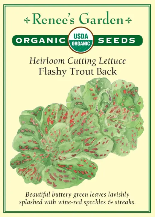 Lettuce Flashy Trout Back Organic