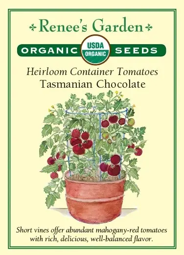 Tomato Tasmanian Chocolate