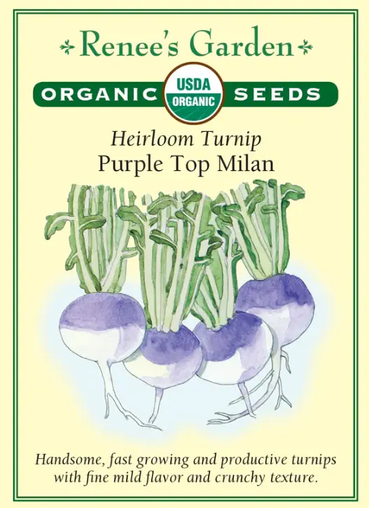 Turnip Purple Top Milan Organic