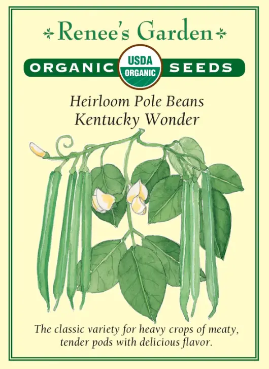 Bean Pole Kentucky Wonder Organic