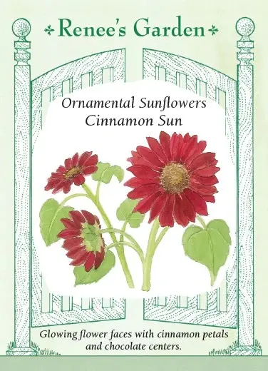 Sunflower Cinnamon Sun