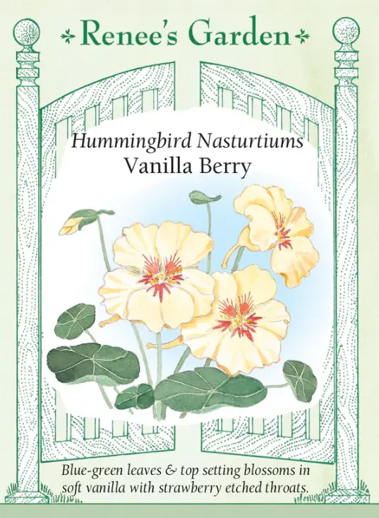 Nasturtium Vanilla Berry