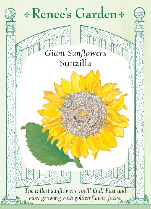 Sunflower Sunzilla Giant