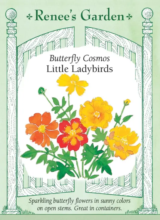 Cosmos Little Ladybirds