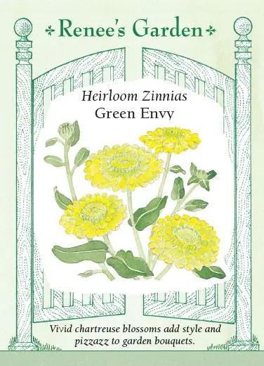 Zinnia Green Envy