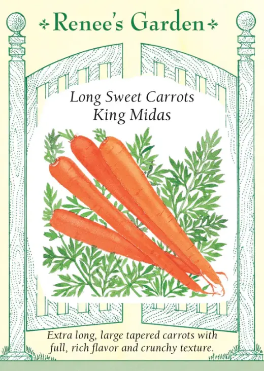 Carrot King Midas Long