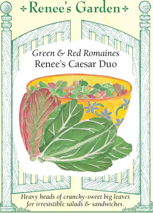 Lettuce Romaine Caesar Duo