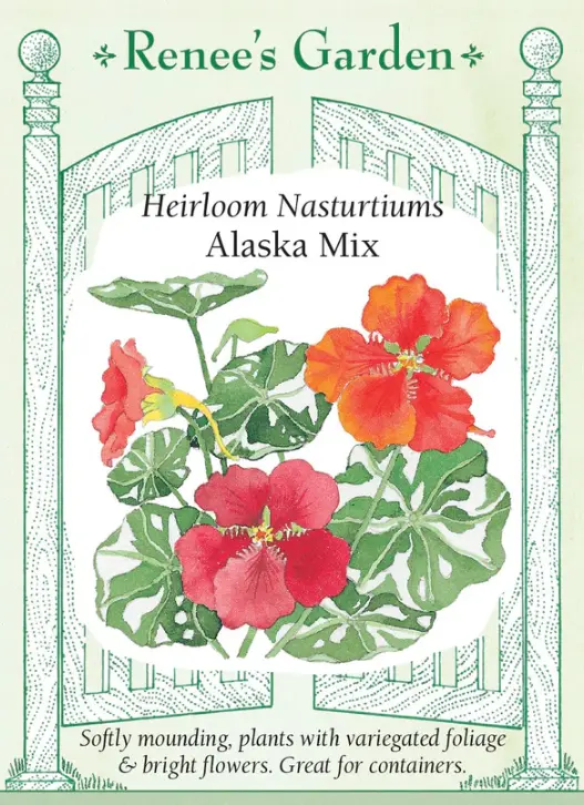 Nasturtium Alaska Mix