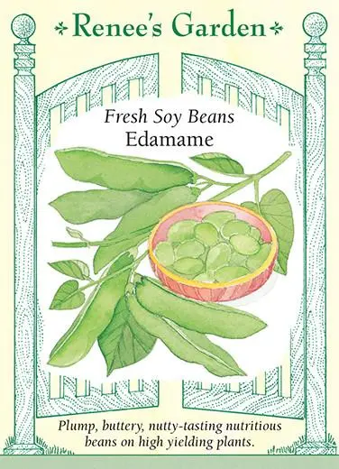 Bean Soy Edamame