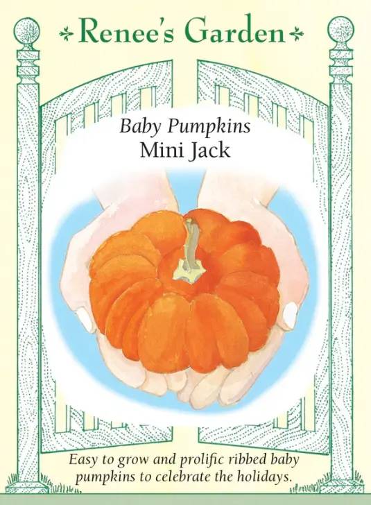 Pumpkin Mini Jack