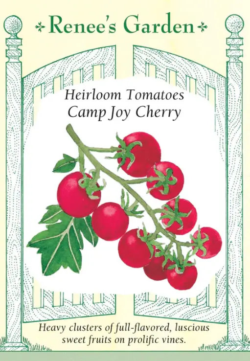 Tomato Cherry Camp Joy
