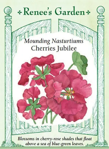 Nasturtium Cherries Jubilee