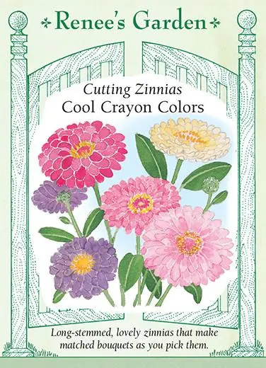 Zinnia Cool Crayon Colors