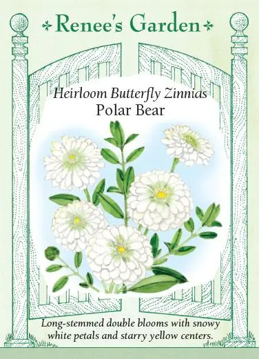 Zinnia Polar Bear Cutting