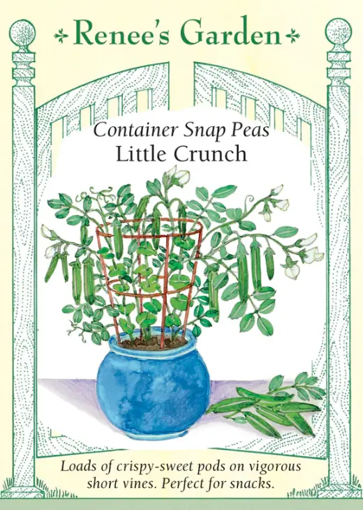 Pea Snap Little Crunch