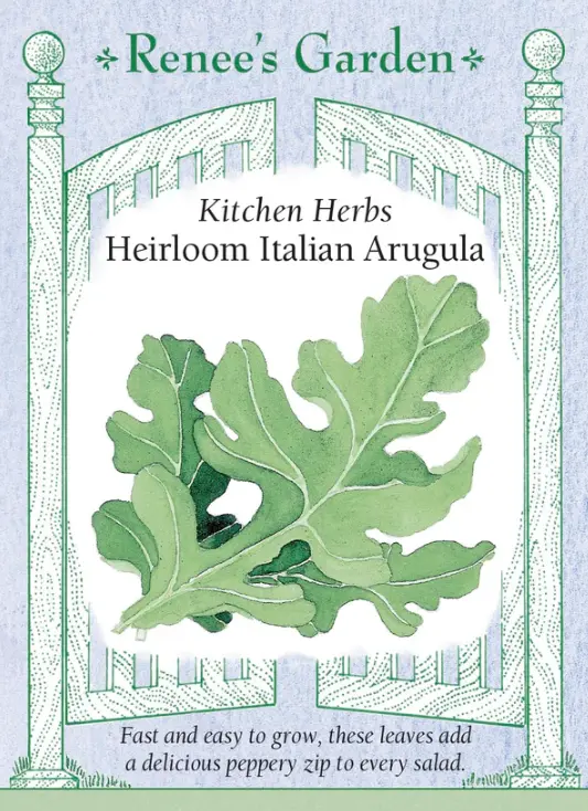 Arugula Italian