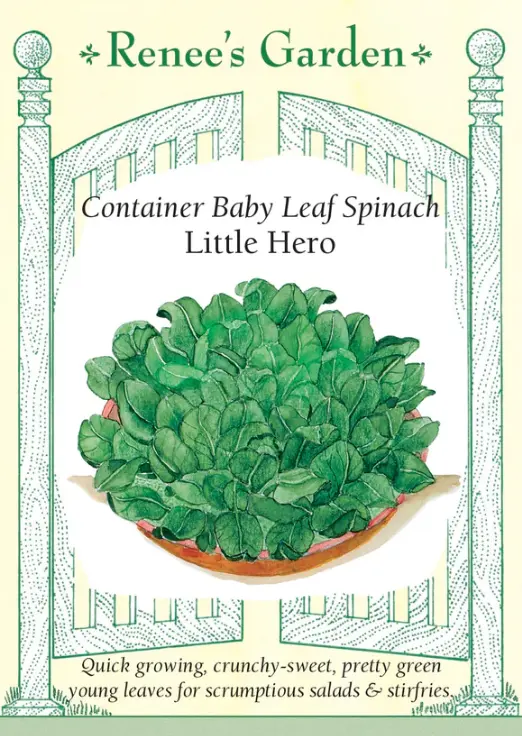 Spinach Container Little Hero