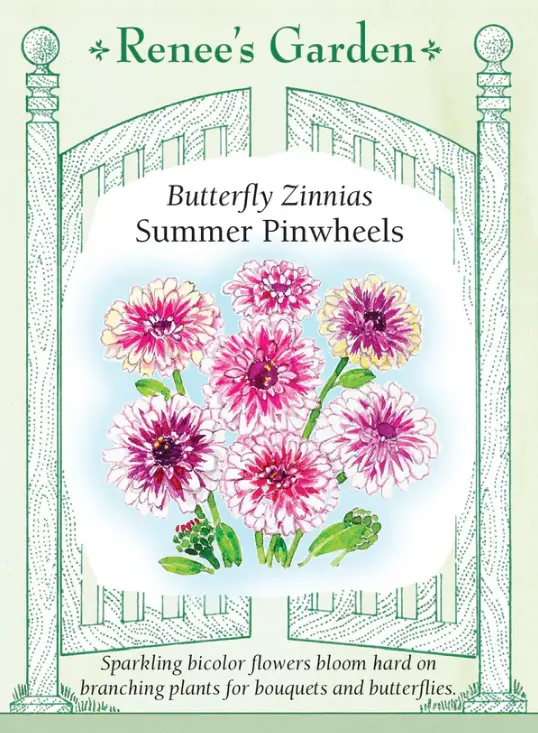 Zinnia Summer Pinwheels