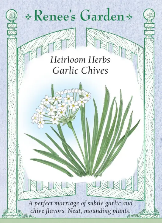 Chives Garlic