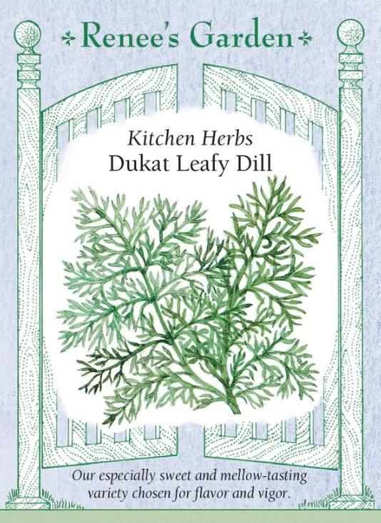 Dill Dukat Long Standing