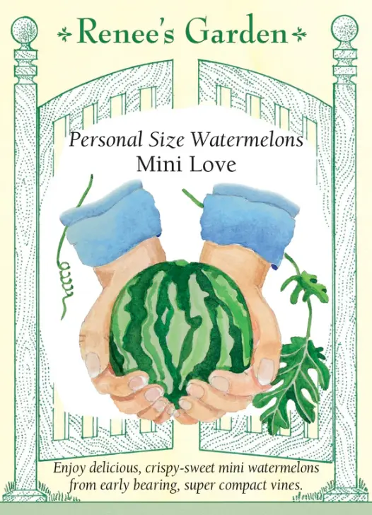 Watermelon Mini Love