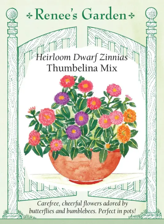 Zinnia Thumbelina Dwarf Mix