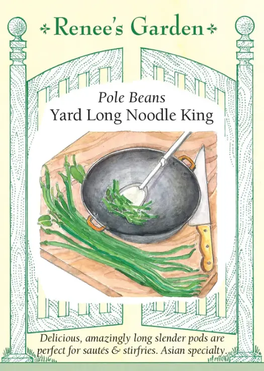Bean Pole Yard Long Noodle King