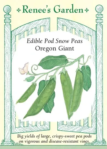 Pea Snow Oregon Giant
