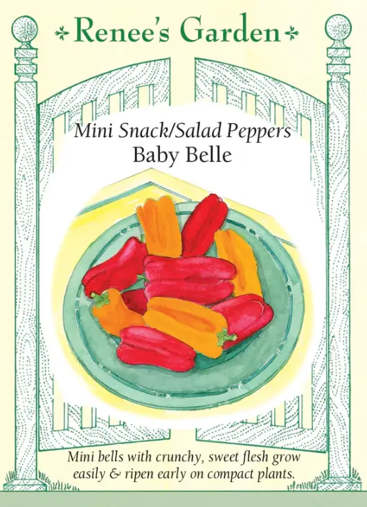 Pepper Baby Belle Minis
