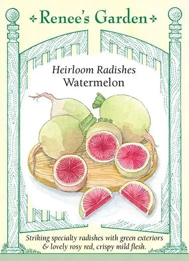 Radish Watermelon