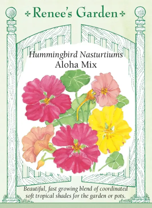 Nasturtium Aloha Mix