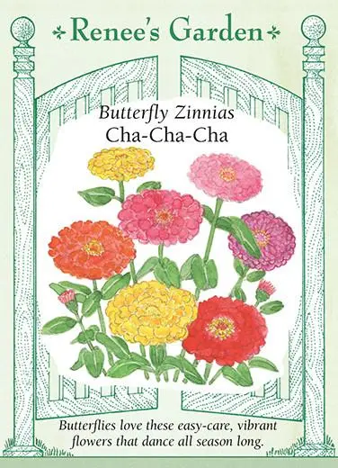 Zinnia Cha-Cha-Cha
