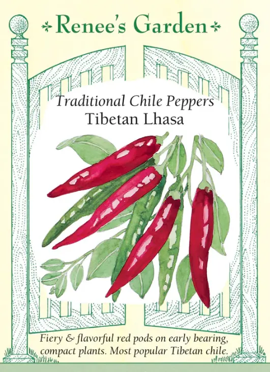 Pepper Chile Tibetan Lhasa