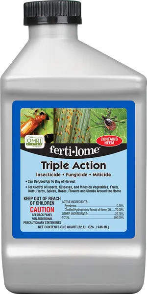 Triple Action