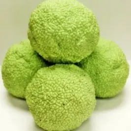 Hedge Balls