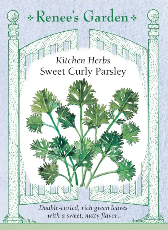 Parsley Sweet Curly